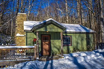 Cozy Green Cabin in Snowy Winter Forest