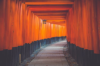 Tunnel of Red Torii Gates at Fushimi Inari Shrine Kyoto