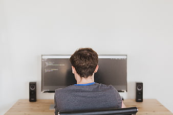 Back view of programmer coding at desk