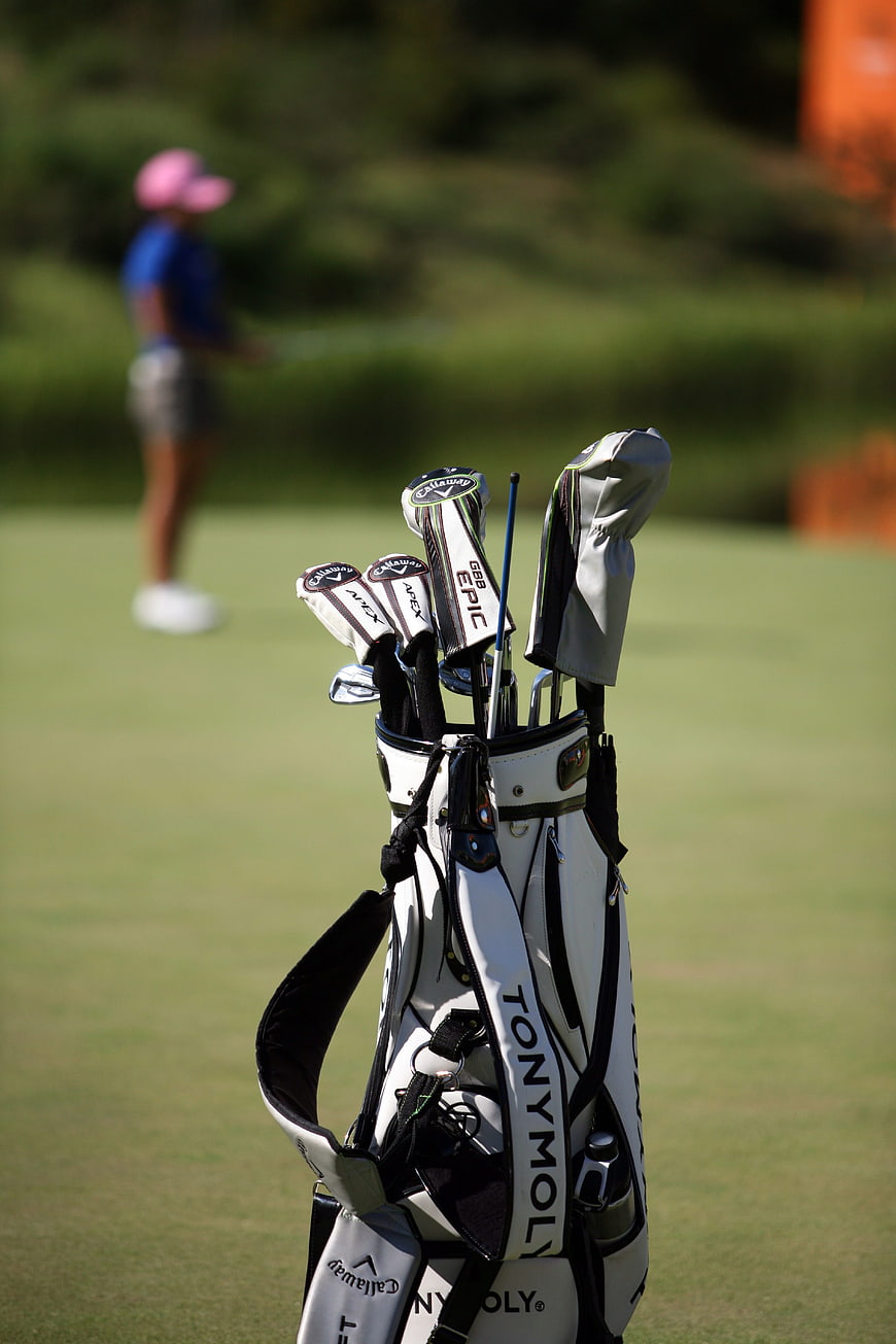 Golf bag with clubs on green course