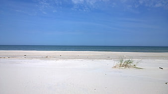 Serene White Sand Beach with Blue Sky and Ocean