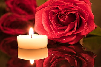 Romantic Red Rose and Candle Reflection
