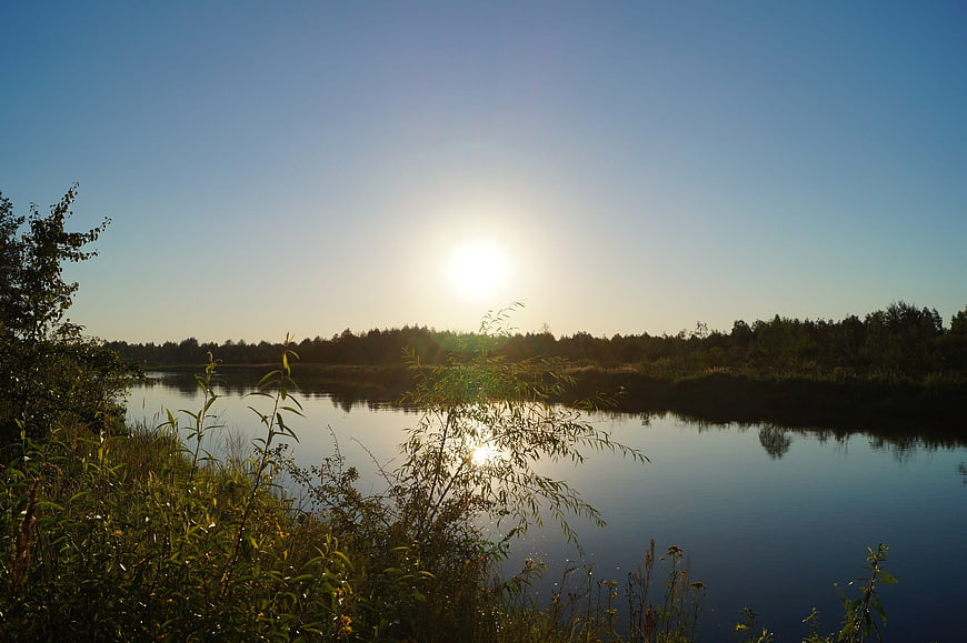 Serene River Landscape with Sun Reflection and Forest Horizon