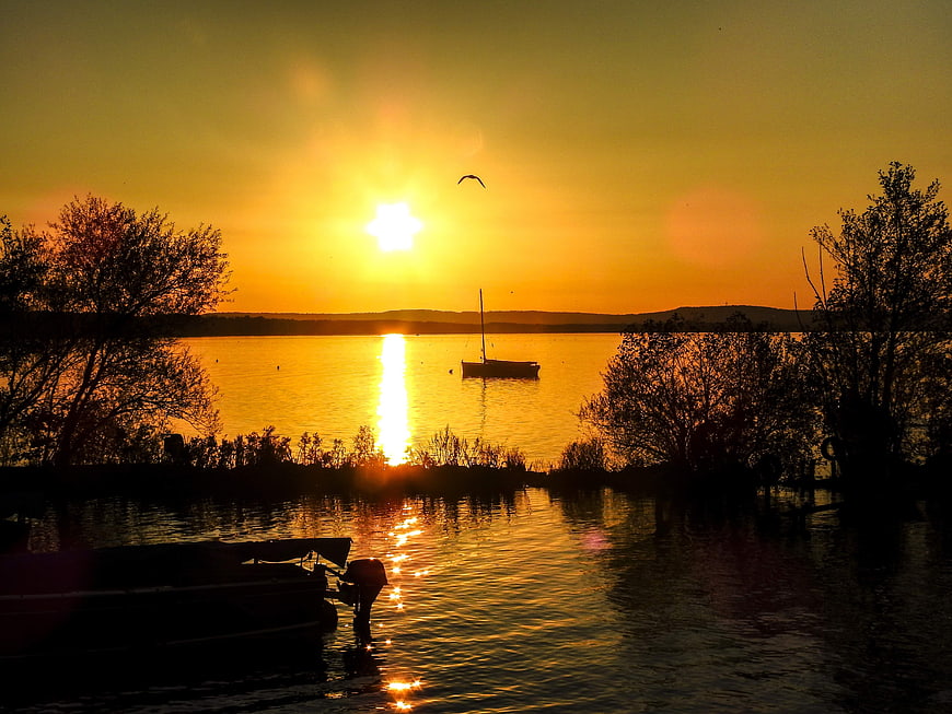 Golden sunset over lake with sailboat silhouette and bird