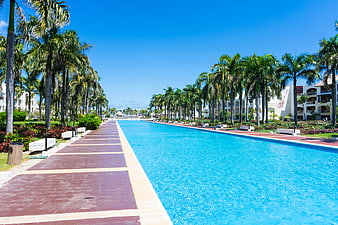 Long resort swimming pool with palm trees and blue sky