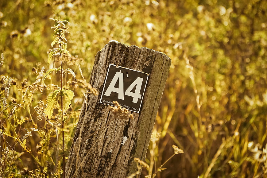 Weathered wooden trail marker with A4 sign in golden field