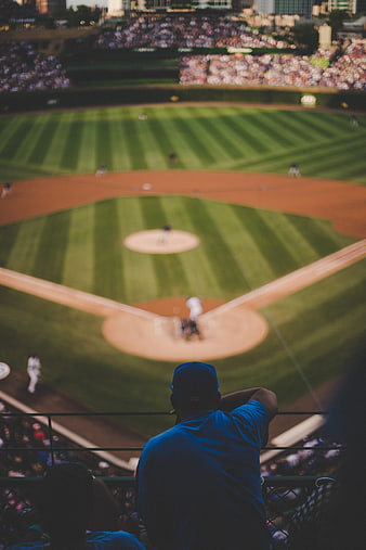 Spectator watching baseball game from stadium stands