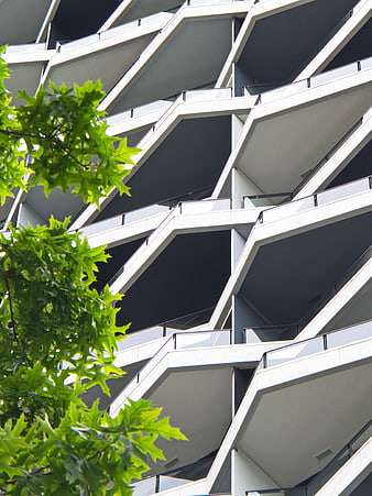 Modern Apartment Balconies with Green Tree Leaves