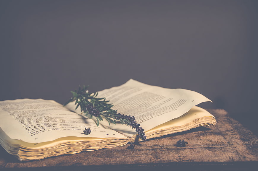Vintage Open Book With Lavender Sprig On Rustic Wooden Surface