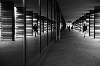 Black and white architectural corridor with reflections
