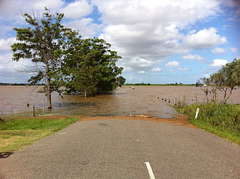 Flooded rural road with submerged trees and muddy water