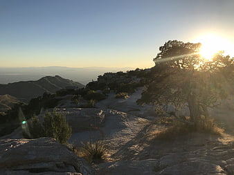 Sunset over rocky mountain landscape with tree silhouette