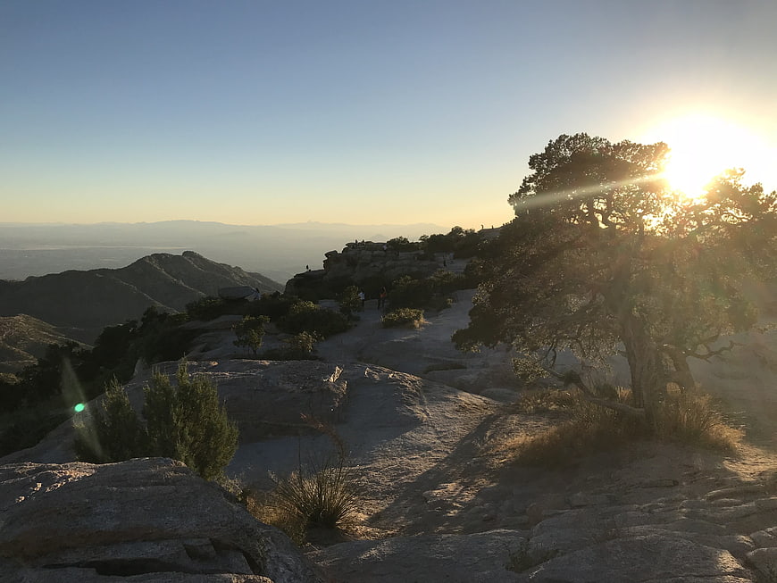 Sunset over rocky mountain landscape with tree silhouette