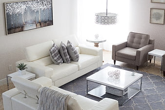 Modern white living room interior with gray accents and contemporary furniture