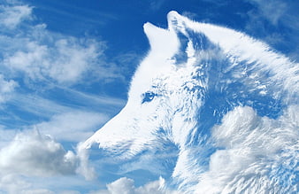 White Wolf Silhouette Double Exposure With Blue Sky And Clouds