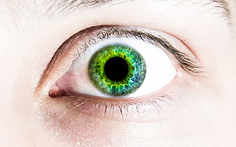 Close-up of a striking green human eye with detailed iris texture