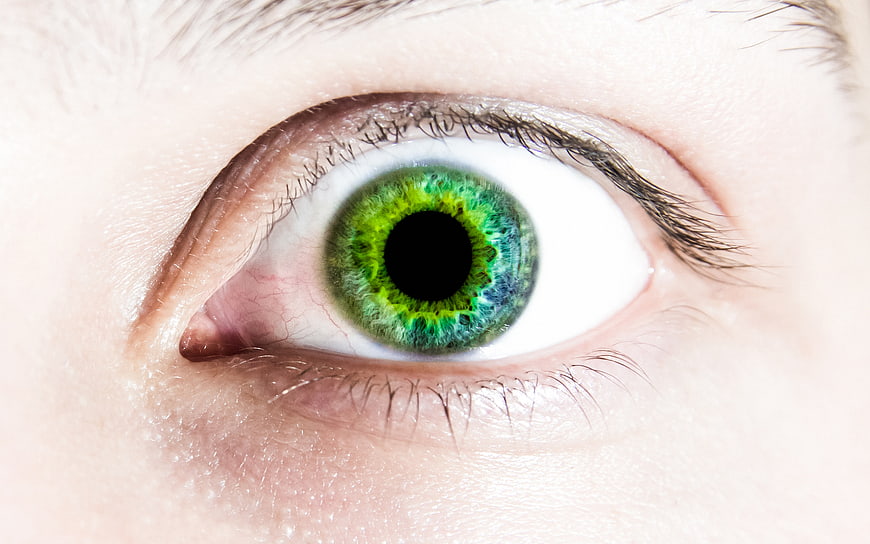 Close-up of a striking green human eye with detailed iris texture