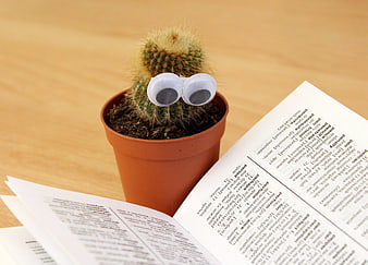 Cute Cactus with Googly Eyes Reading a Dictionary