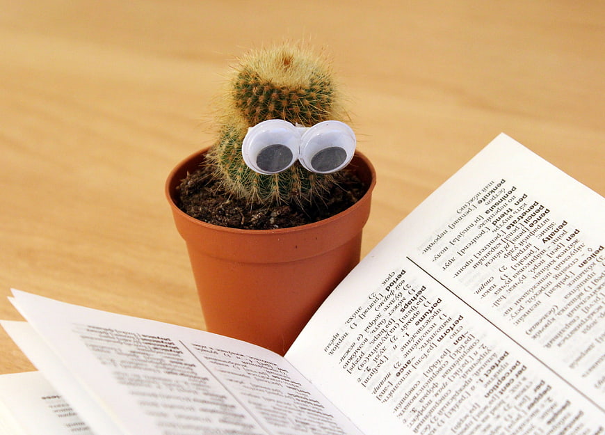 Cute Cactus with Googly Eyes Reading a Dictionary