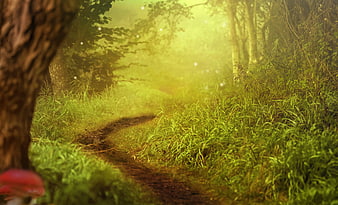 Mystical Forest Path With Fireflies And Mushrooms