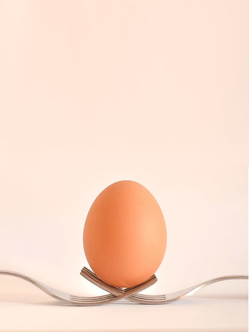 Brown egg balanced on crossed forks against pastel background
