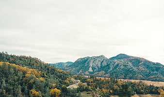 Autumn Mountain Landscape with Winding Road and Forest