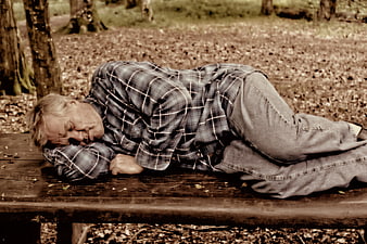 Senior man sleeping on a wooden park bench in a forest