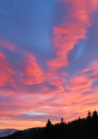 Vibrant Pink and Purple Sunset Clouds Over Silhouetted Forest