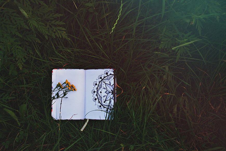 Open Sketchbook with Mandala Drawing in Green Grass