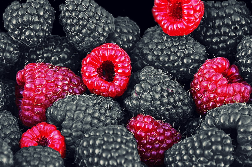 Color Key Raspberries and Blackberries on Black Background
