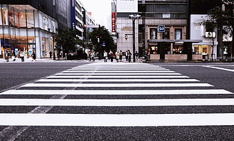 Low angle view of zebra crossing in Tokyo city street