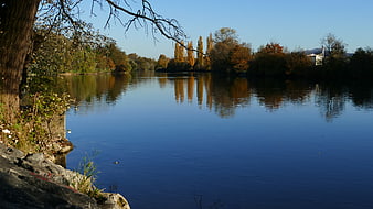 Serene River Landscape with Autumn Tree Reflections