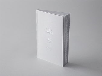 Minimalist white book mockup with embossed Salt Water title on gray background