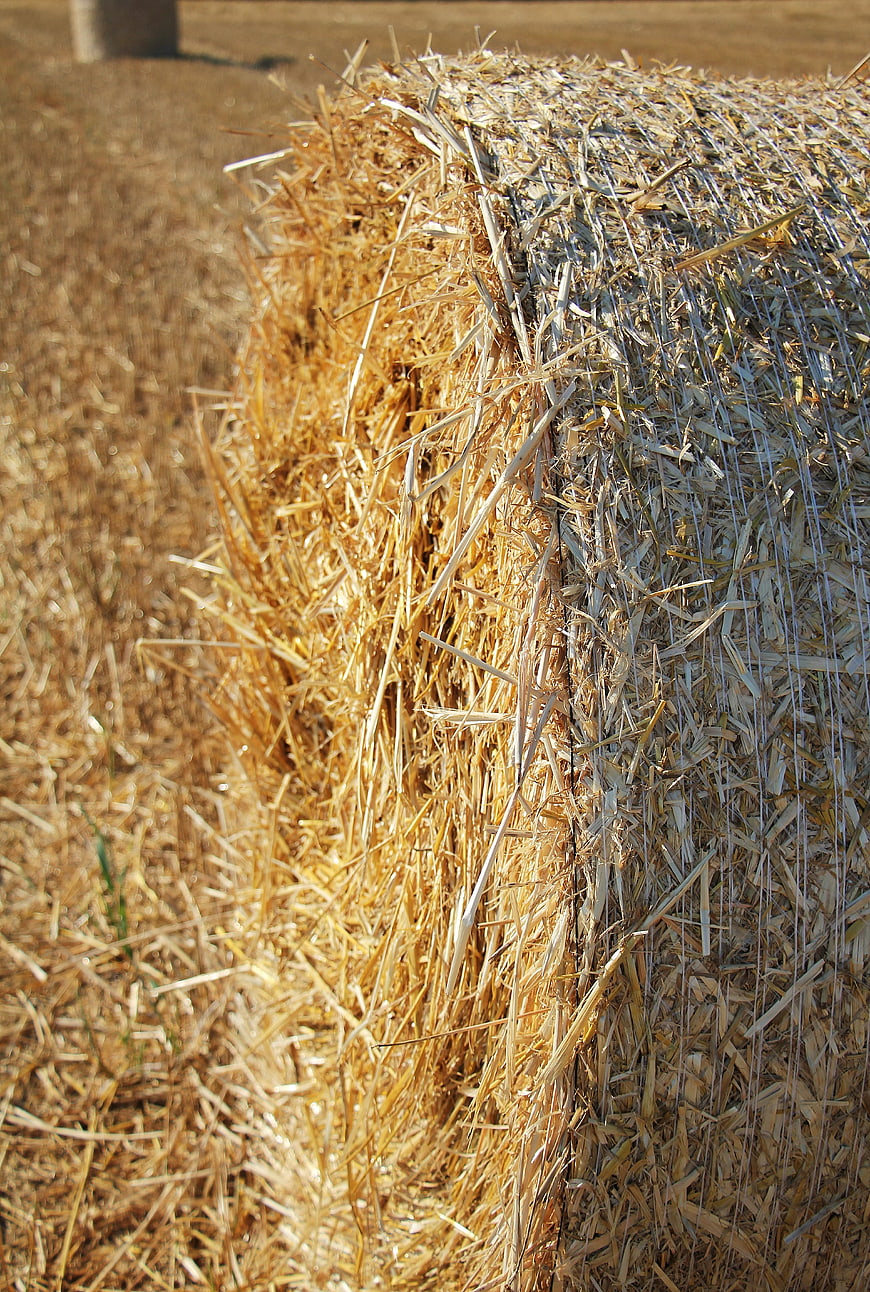 Close-up of golden straw bale texture in a field