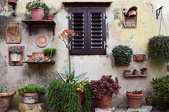 Rustic Mediterranean Wall with Potted Succulents and Window
