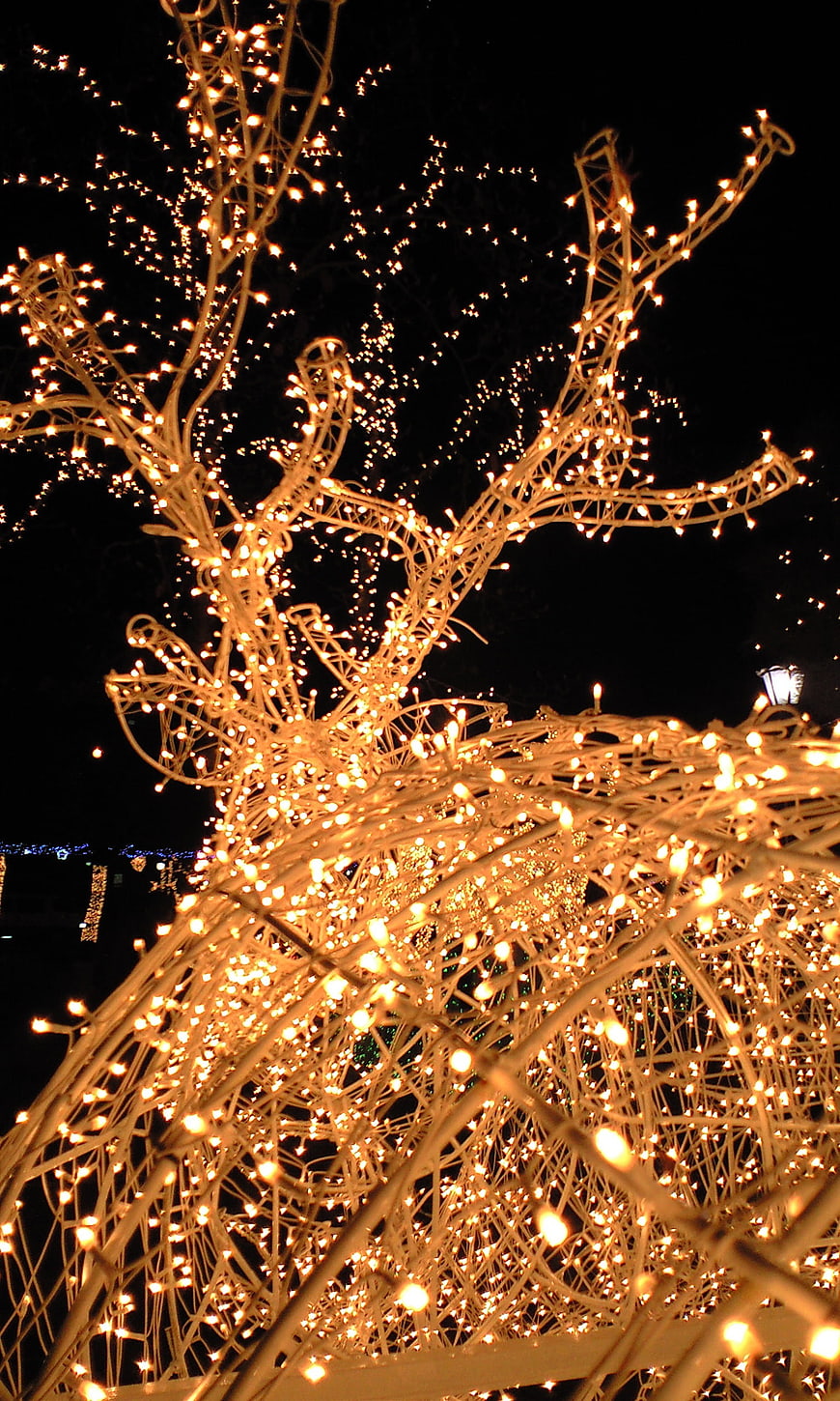 Illuminated Christmas Tree Structure With Warm LED Lights At Night