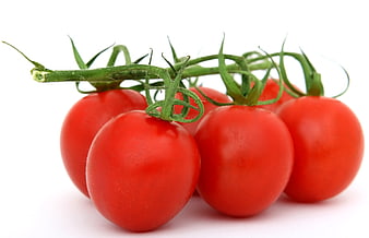 Fresh Red Tomatoes on the Vine Isolated on White