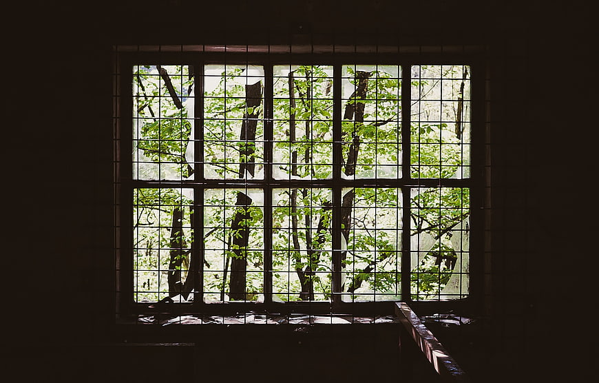 Broken Window Looking Out at Green Forest Trees