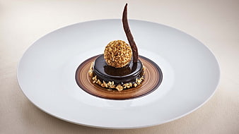 Elegant chocolate dessert with hazelnut sphere on white plate