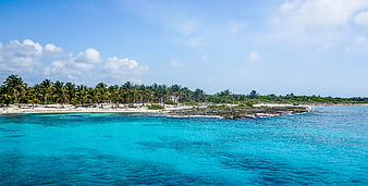 Tropical Caribbean Beach Landscape With Turquoise Water And Palm Trees