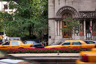 Yellow taxis speeding past ornate stone building with pink flowers