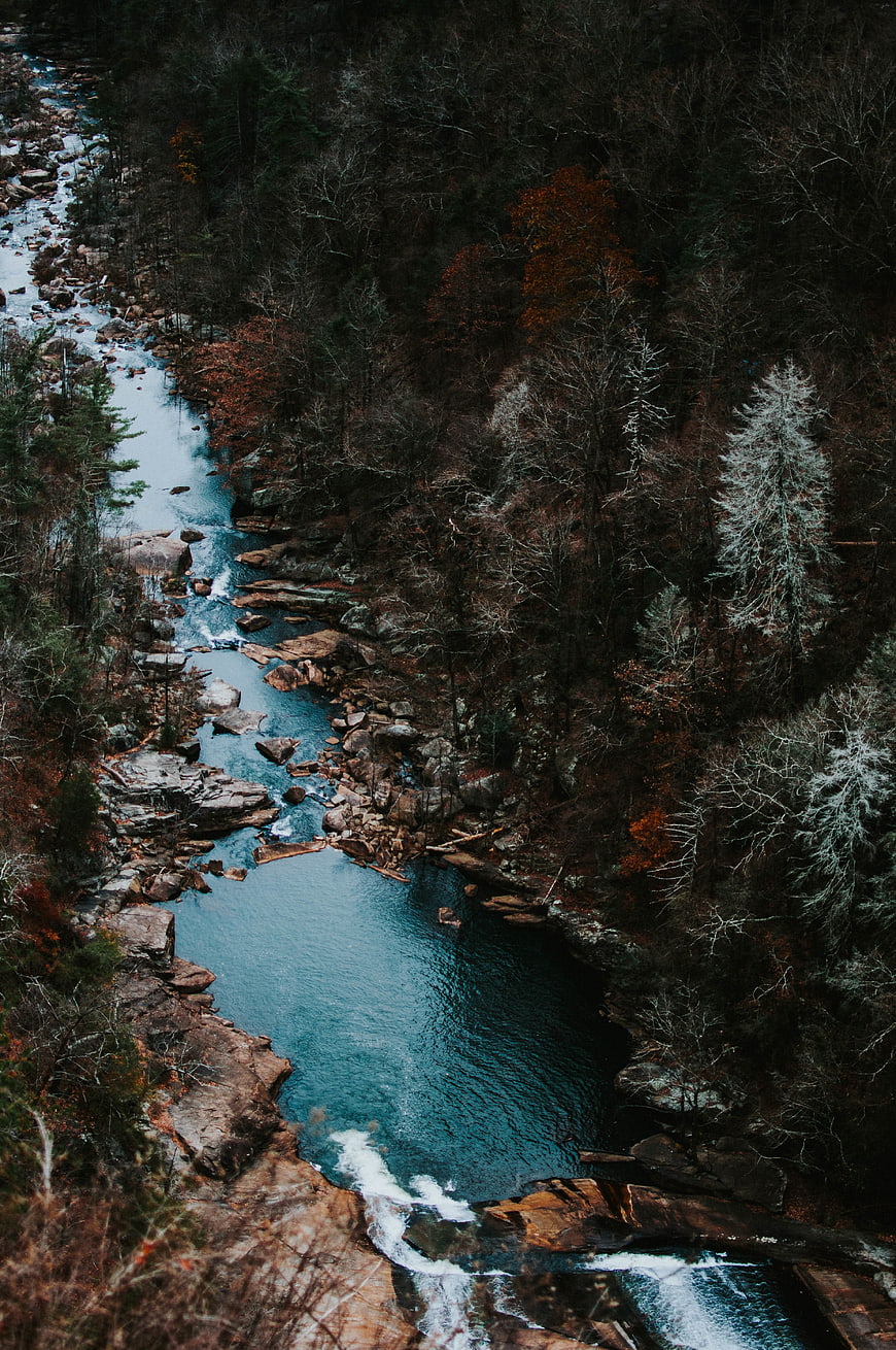 Aerial View of Winding River Through Dark Forest