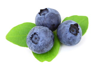 Fresh Blueberries on Green Leaves Isolated on White Background