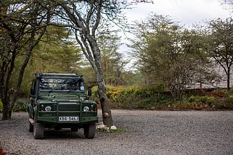 Green safari jeep parked on gravel road in nature