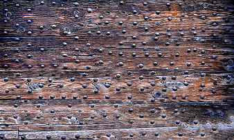 Textured Old Wooden Door with Iron Nails Background