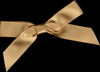 Gold Satin Ribbon Bow on Black Background