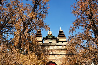 Ancient stone pagoda framed by golden autumn trees