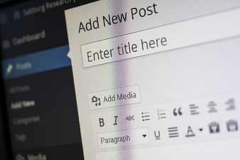 Close-up of WordPress Add New Post Interface on Screen