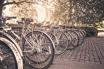Row of bicycles parked on cobblestone path in park