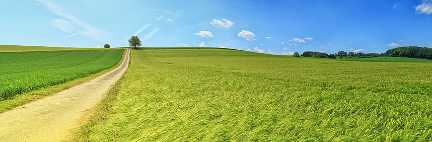 Panoramic View of Green Countryside Fields and Dirt Road